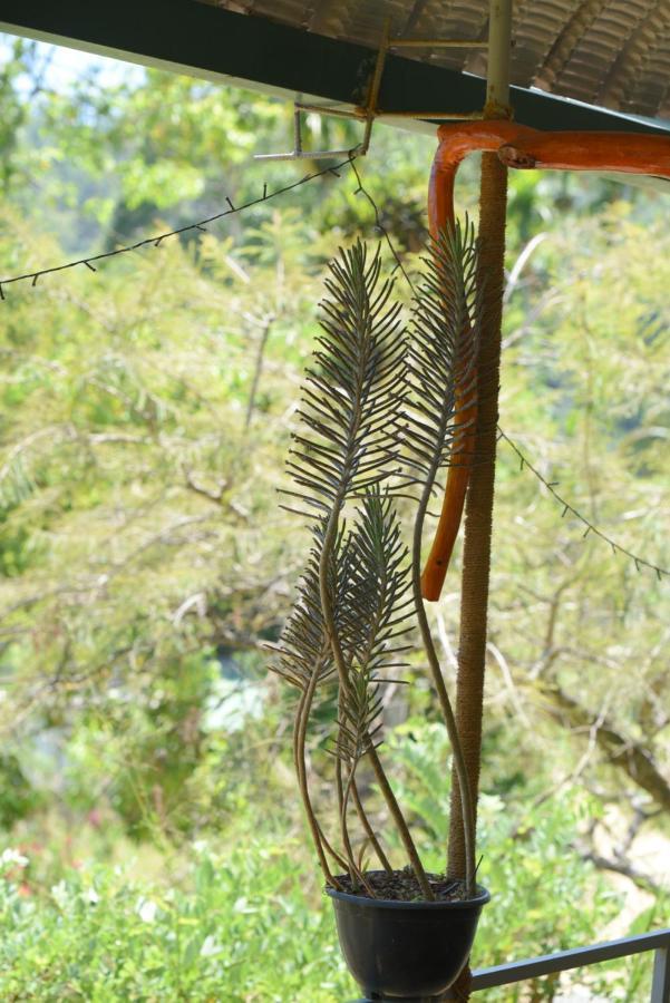 Ella Supreme Villa Esterno foto
